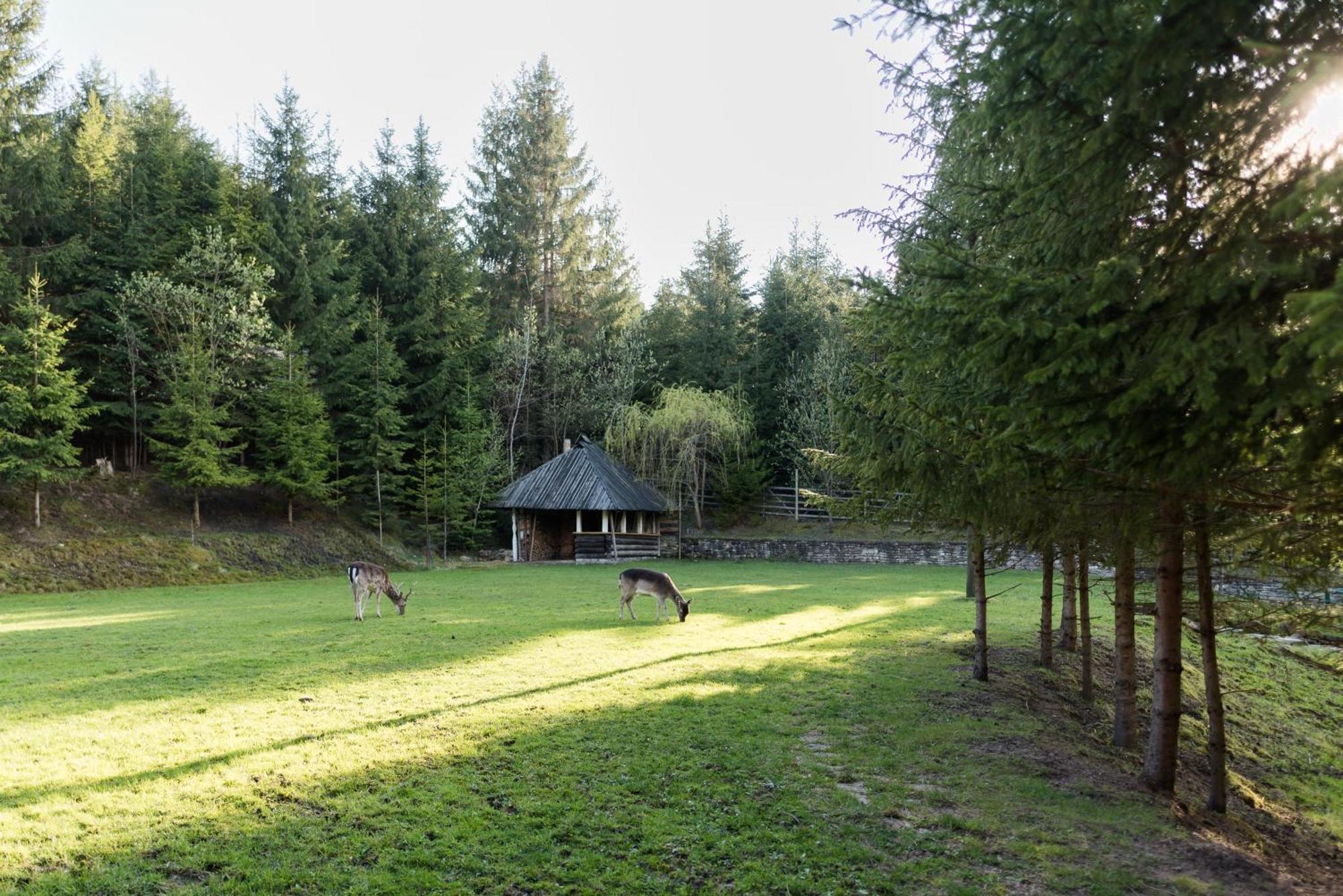 Pensiunea Casa Bunicilor Мэнэстиря-Гуморулуй Экстерьер фото